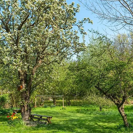 2 Bedroom Pet Friendly In Samso Feriehus Kolby Kås